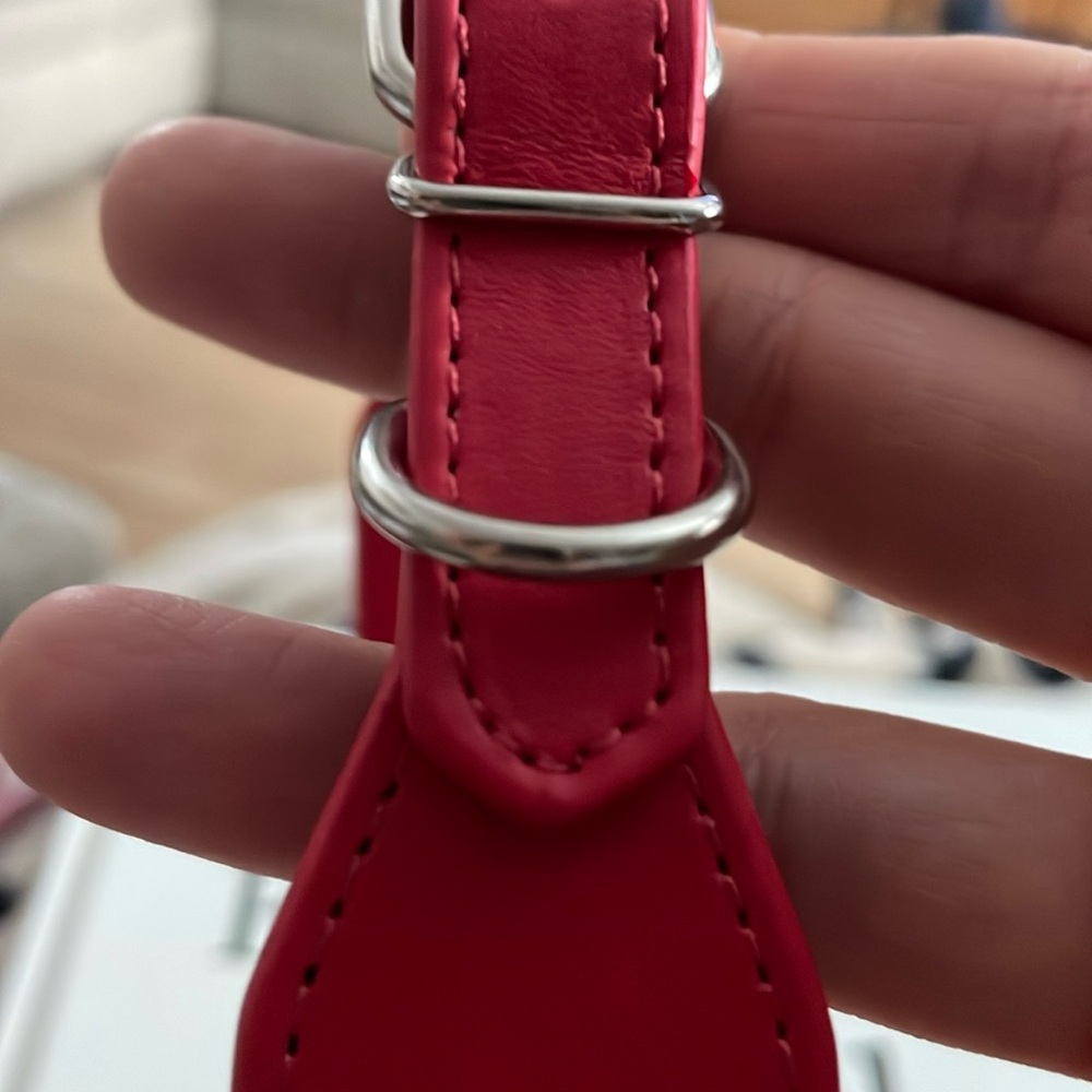 Red Collar - Picture 3 of 5